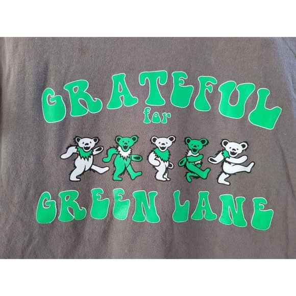 Grateful Dead Green Lane Camp Gray 2017 tee shirt size Medium summer tour - Picture 2 of 7